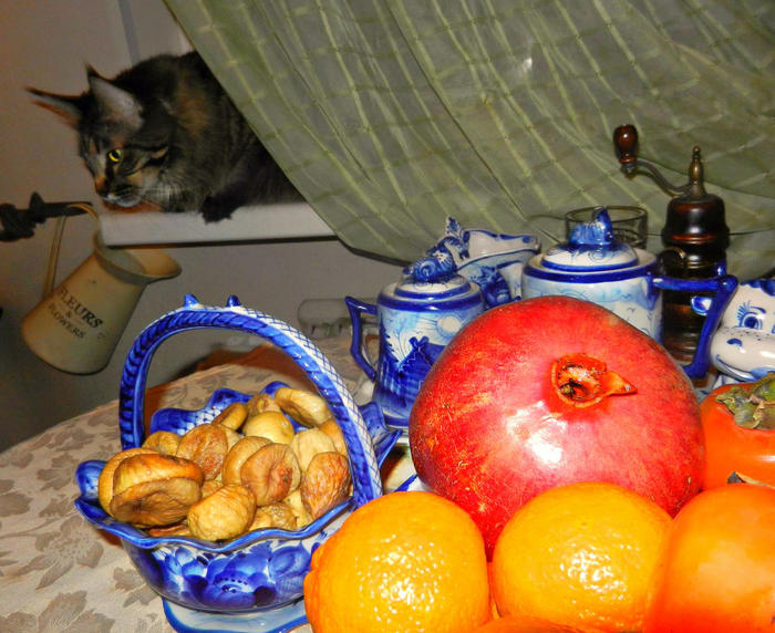 image (76) (700x572, 88Kb)