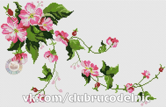 Wild Roses (700x451, 375Kb)