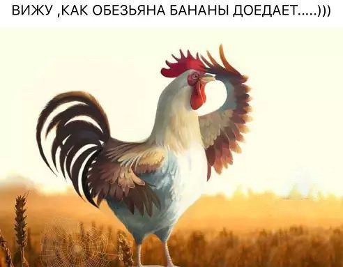 0SPcdMZdALM (492x383, 30Kb)