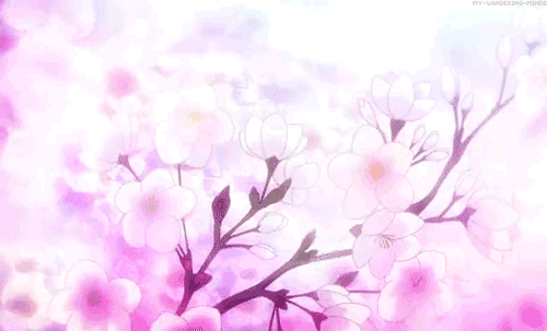 136115-Anime-Cherry-Blossom-Cherry-Blossom-Gifs-Find-Share-On-Giphy (500x303, 673Kb)