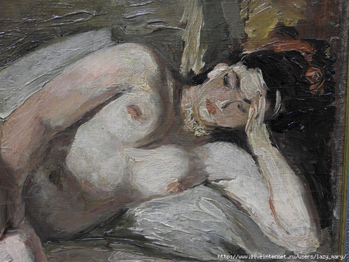 DSCN2858 (700x525, 351Kb)