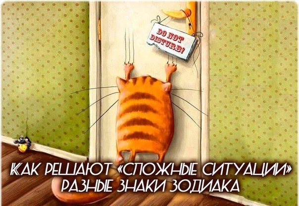 Трындец что это такое. Смотреть фото Трындец что это такое. Смотреть картинку Трындец что это такое. Картинка про Трындец что это такое. Фото Трындец что это такое