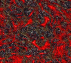 TraurFon (250x223, 33Kb)