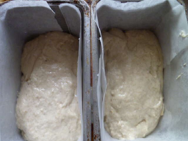 Количество теста в форму. Тесто в форме для хлеба. Форма для выпечки хлеба в духовке. Тесто для формочек. Тесто для хлеба в формочке.
