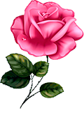 83caedb951fb9ce763ce3560e9d6ce65 (120x175, 40Kb)