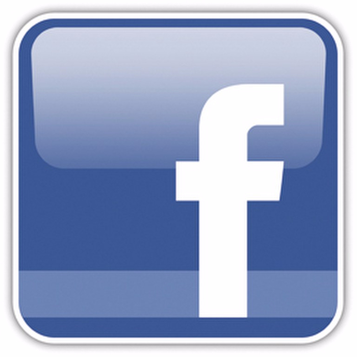 Facebook-Icon (700x700, 165Kb)