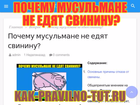 Мусульмане едят свинину. Почему мусульмане не едят свинью. Мусульмане не едят свинину. Почему мусульмане не едят свинину. Почему мусульманам нельзя есть свинину.