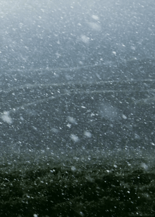 gif (500x700, 1015Kb)