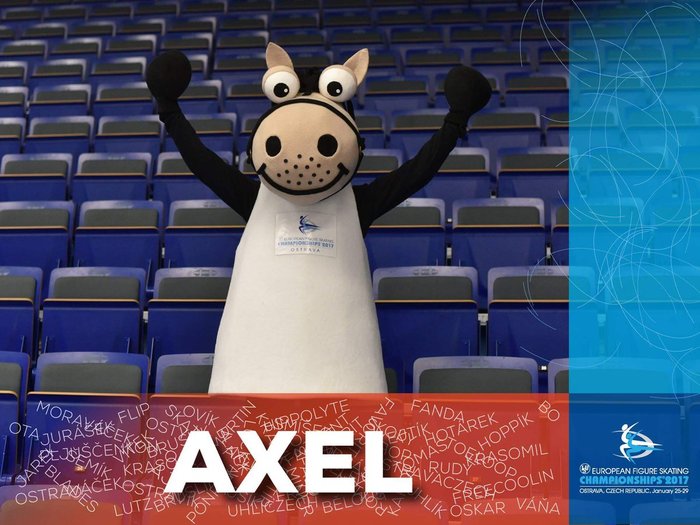 5845565_aksel_korova (700x525, 81Kb)