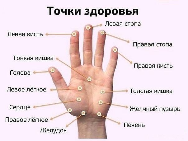   (604x453, 37Kb)