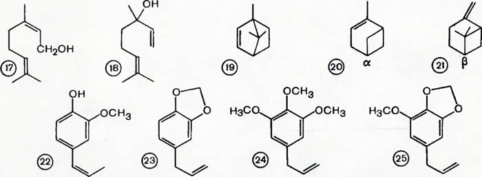 12Gewuerze6 (700x257, 51Kb)