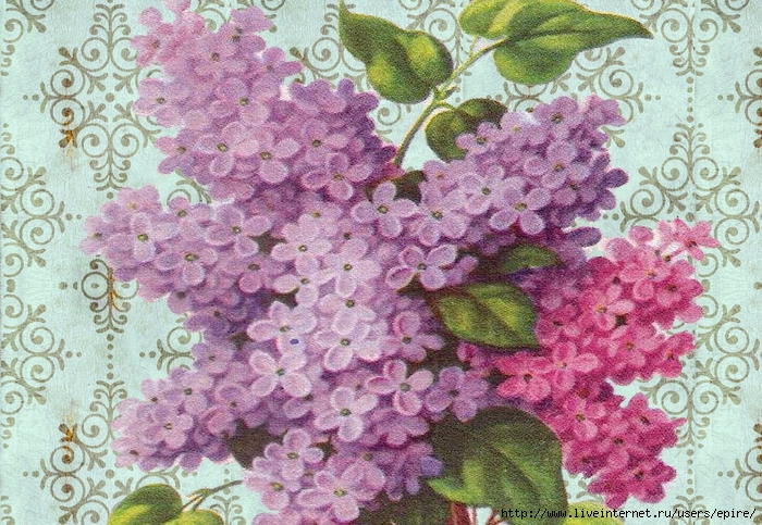 Başlıksız-7 (700x483, 391Kb)