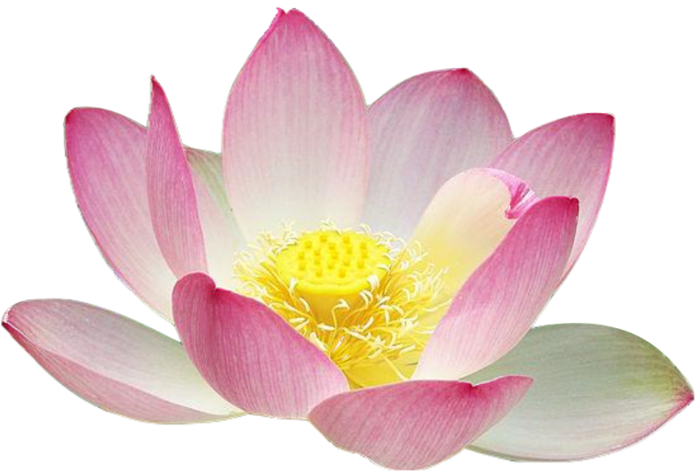 lotus (700x476, 328Kb)