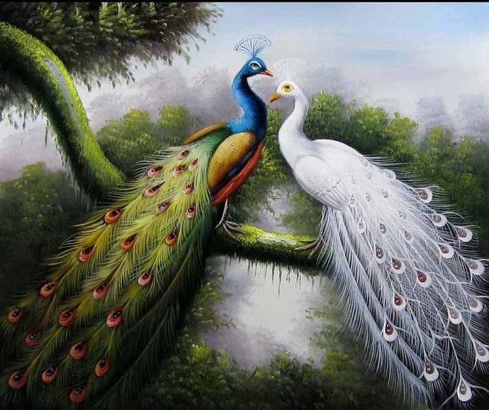 607372__painting-peacocks_p (700x586, 101Kb)