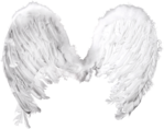  Beautiful Angel (35) (700x554, 391Kb)