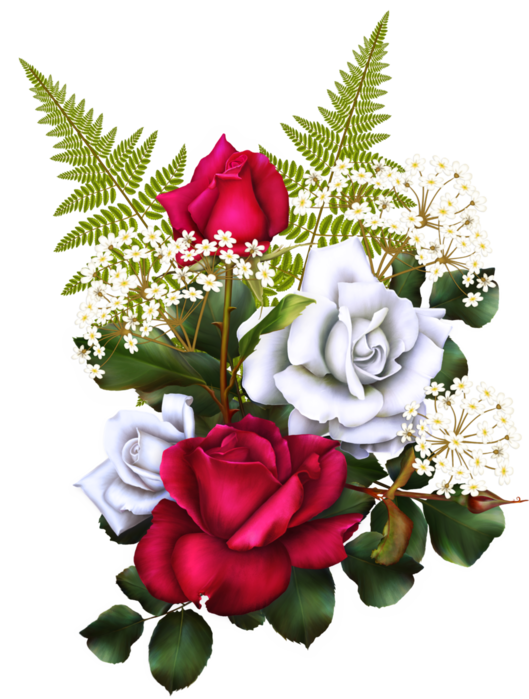 bsd_Floral Elegance_ Element (1x) (529x700, 480Kb)
