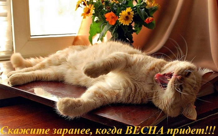 0_183d3a_ef2cea0_orig  (700x437, 128Kb)