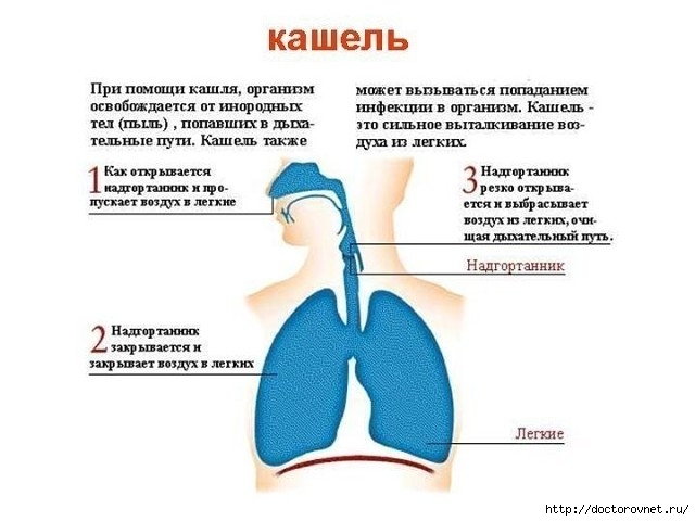 Интернет-журнал 