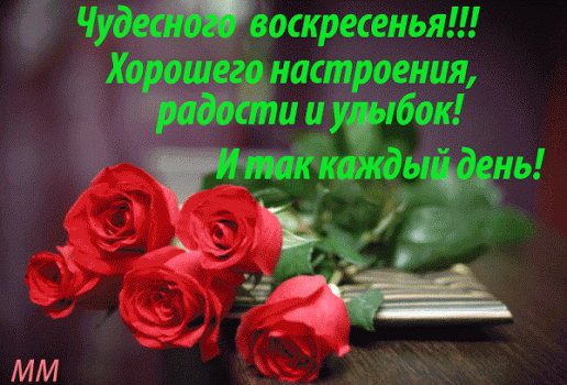 130342540_chudesnogo_voskresenya_prekrasnogo_nastroeniya_i_tak_kazhduyy_den (516x350, 106Kb)