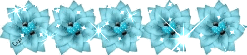   (500x113, 120Kb)
