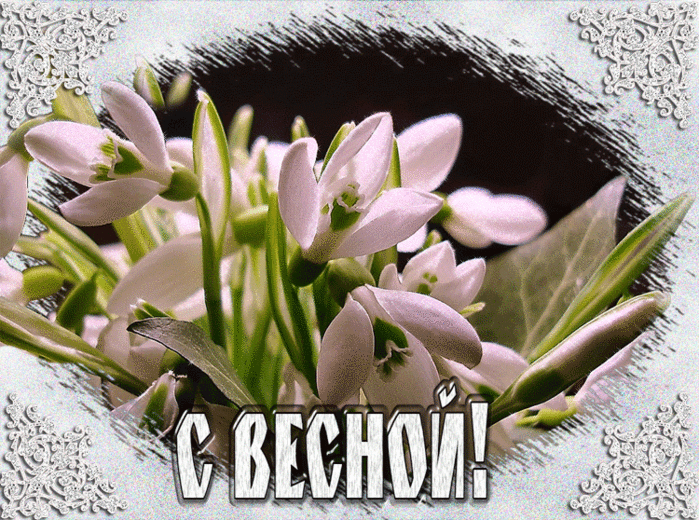 3201191_vesna (700x520, 828Kb)