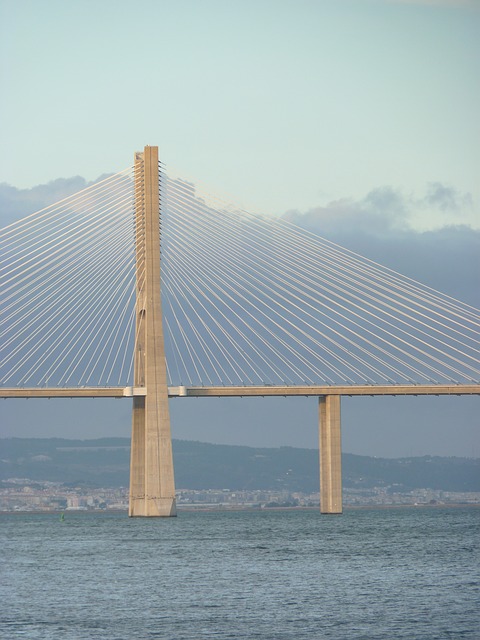 1488559794_bridge-1072741_640 (480x640, 77Kb)