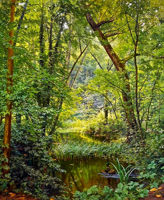 4150500_Lesnoi_pryd_The_woodland_pool_III (575x700, 447Kb)