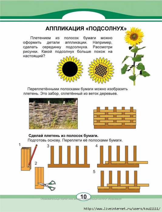 Подсолнухи схема посадки