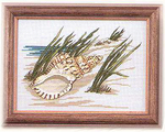  JCD1189 More Seaside Stitches   Shell (390x313, 181Kb)