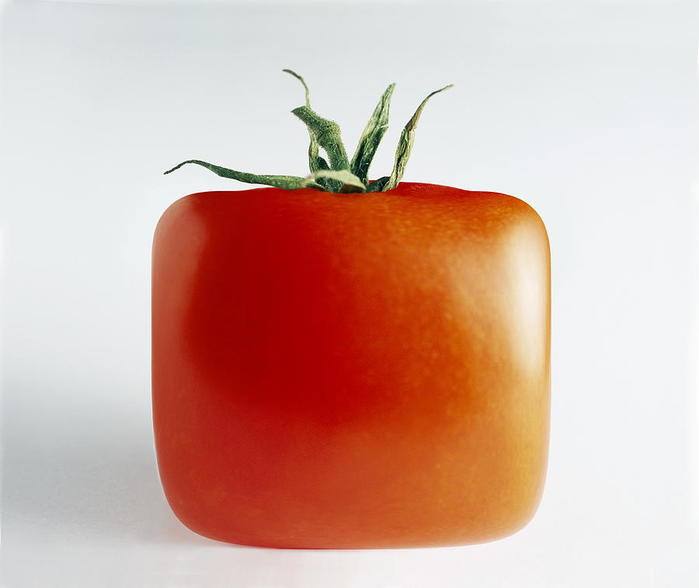 square-tomato-cordelia-molloy (700x588, 22Kb)