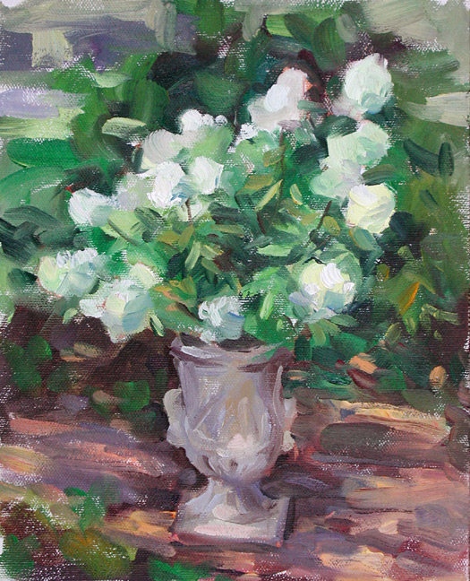 White Hydrangea (525x648, 467Kb)