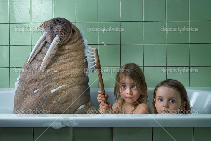 depositphotos_84607910-stock-photo-little-sisters-washing-walrus-in (700x467, 310Kb)