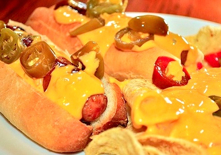 nachodog (431x302, 62Kb)