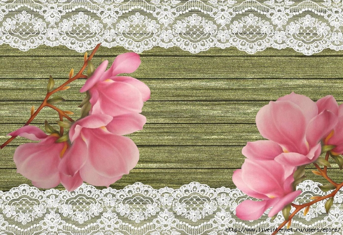 cıcıc (700x481, 388Kb)