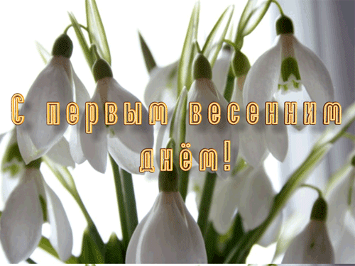 5745884_s_pervim_dnem_vesni_1_ (500x375, 591Kb)