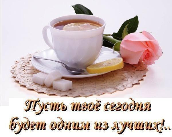        (600x480, 50Kb)