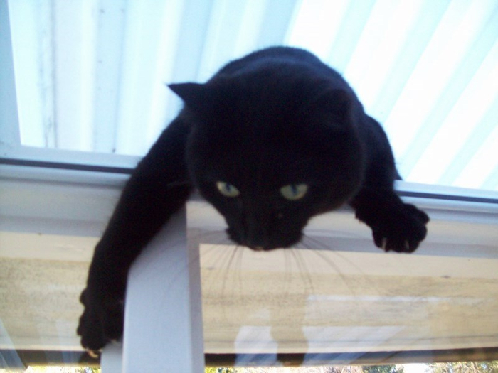 101_2109 (700x525, 275Kb)