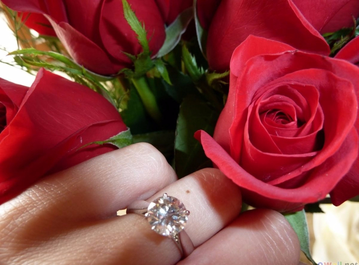 engagement-ring-with-red-rose (700x516, 326Kb)