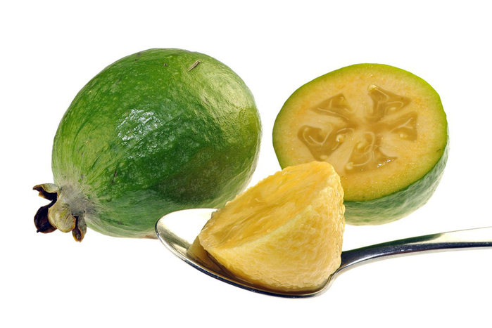 5870230_feijoa_01 (700x467, 180Kb)