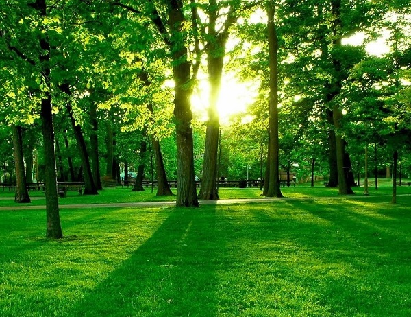 4592859_1490772366 (600x462, 181Kb)