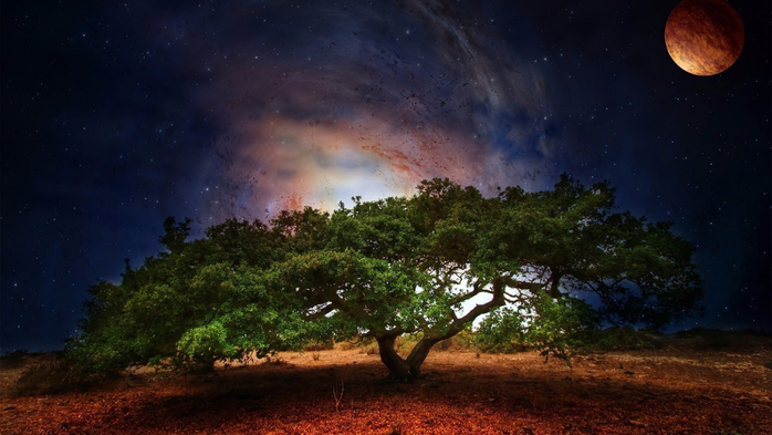 tree-art-planet-light-fantasy-scifi-galaxy-sky-stars-wallpaper-1 (700x393, 305Kb)