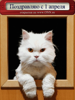 Без названия (240x320, 111Kb)