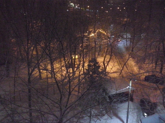 4331300_CAM03325 (700x525, 286Kb)