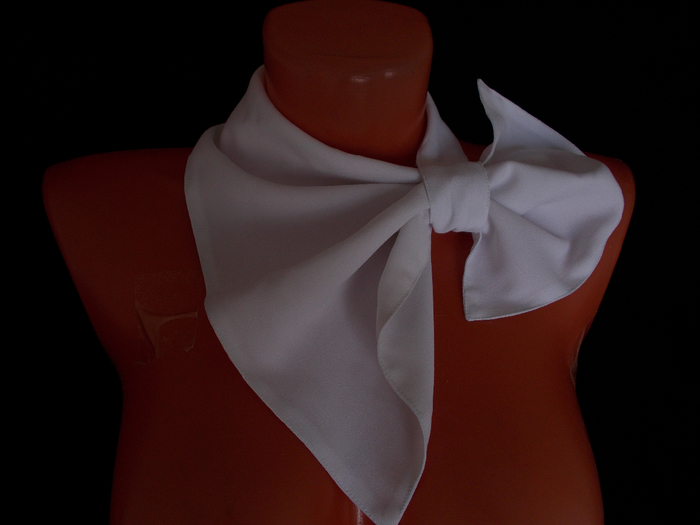 French scarf (700x525, 241Kb)