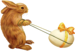  ED_Fairy_Easter (116) (500x344, 163Kb)