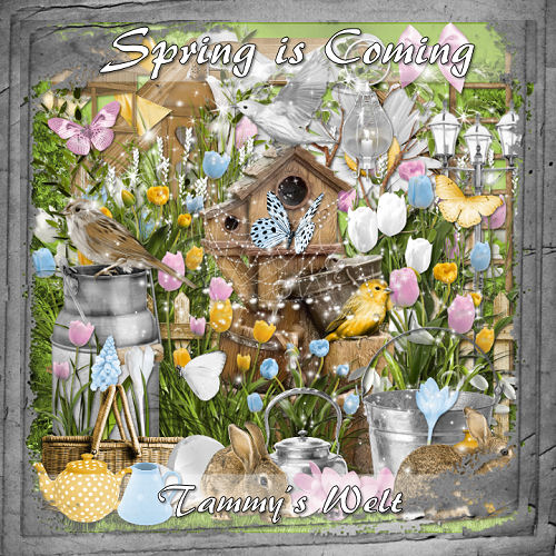 6090083_tammys_Welt_spring_is_coming_Only_preview1 (500x500, 111Kb)