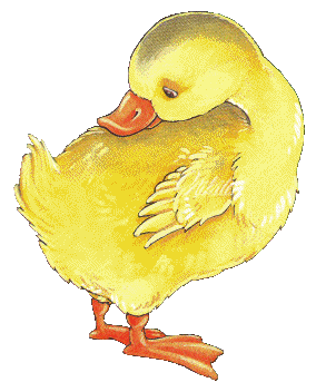 pic (284x352, 69Kb)