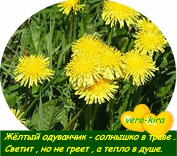 Доброе утро картинки с одуванчиками с надписями прикольные