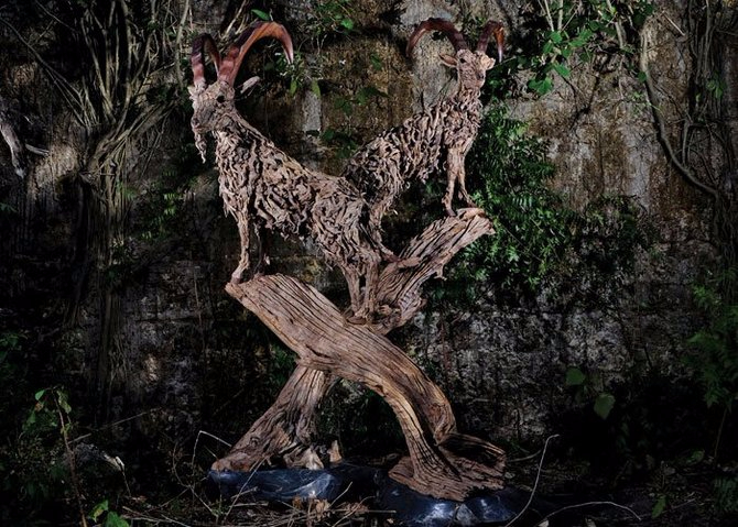 james-doran-webb-driftwood-animal-sculptures-6-670x479 (670x479, 388Kb)
