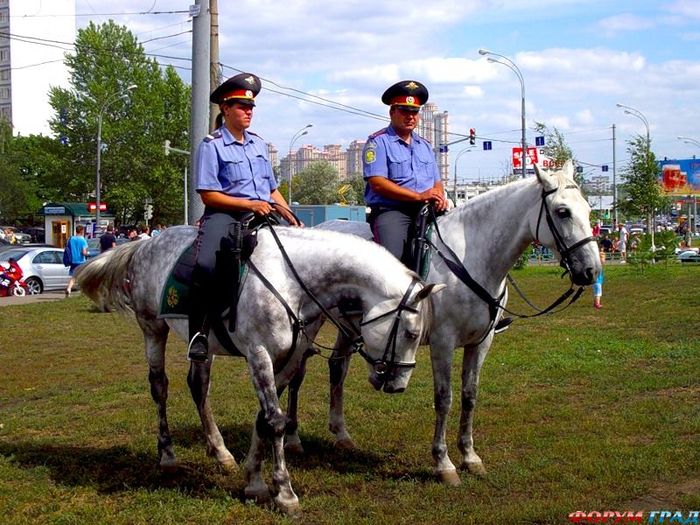 Пограничник на лошади фото